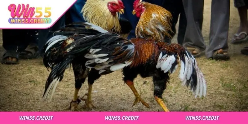 Môi trường sống ổn định quyết định sức đề kháng và thể lực