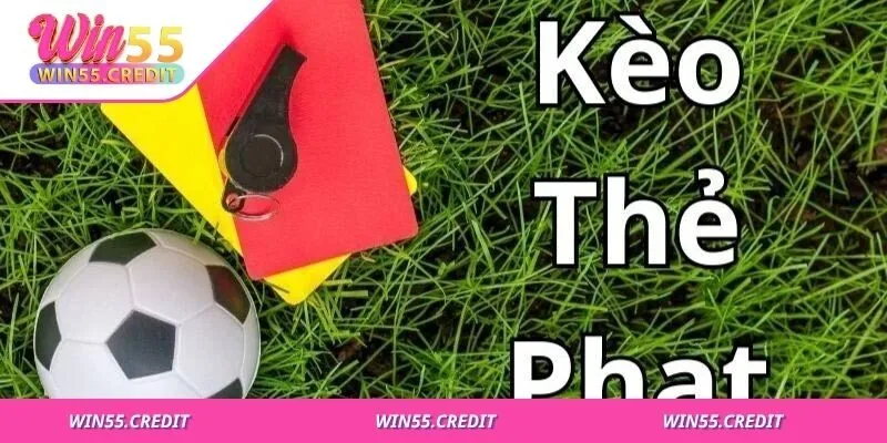 Phân loại chi tiết theo cách tính, dự đoán, tỷ lệ cược